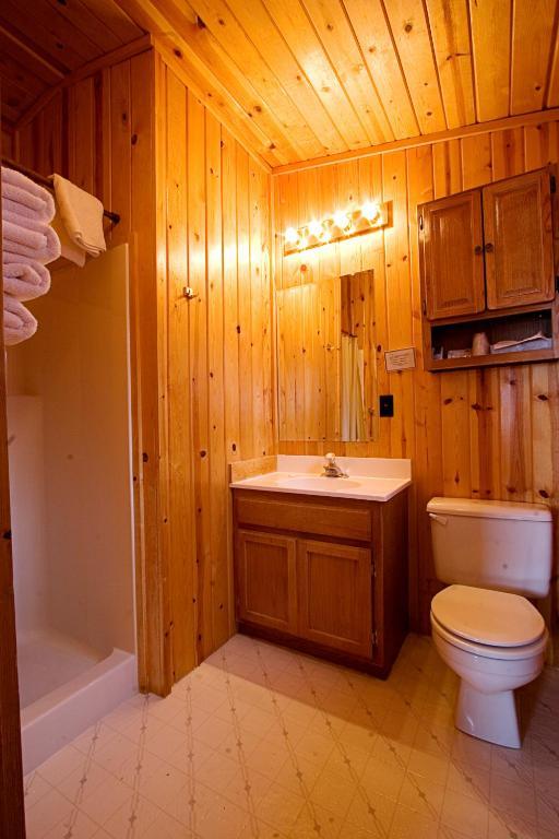 Teton Valley Cabins Driggs Pokoj fotografie