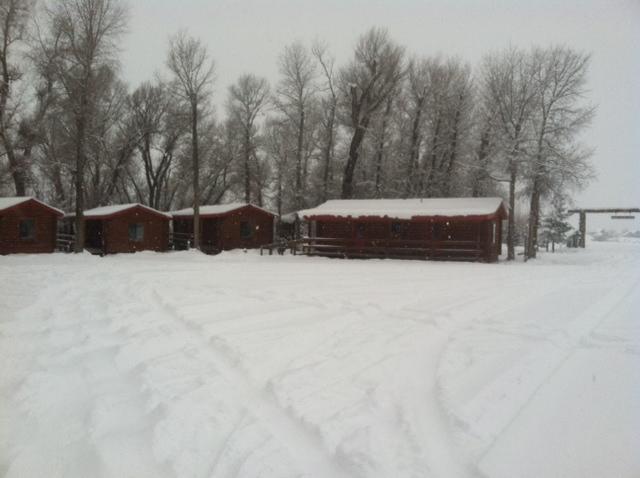 Teton Valley Cabins Driggs Exteriér fotografie